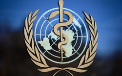 Trung Quốc ủng hộ điều tra độc lập của Tổ chức Y tế thế giới về đại dịch Covid-19