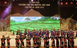 Không tổ chức Festival Trà Thái Nguyên – Việt Nam lần thứ IV, năm 2020