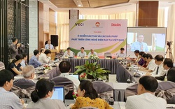 Ô nhiễm rác thải và các giải pháp phát triển công nghệ điện rác tại Việt Nam