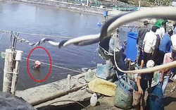 Camera gắn trên trụ điện lật tẩy thủ đoạn thương lái dàn cảnh trộm tôm 