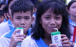 Hơn 33.000 học sinh miền núi Quảng Nam vui mừng được uống sữa tại trường 