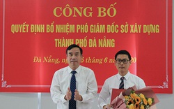 Điều động, bổ nhiệm nhân sự TPHCM, Đà Nẵng