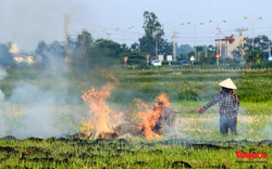 Nông dân lại đốt rơm rạ, khói bụi đang bủa vây ngoại thành Hà Nội