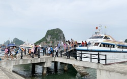 Quảng Ninh: Tăng cường công tác thanh tra, kiểm tra trong hoạt động du lịch 6 tháng đầu năm 2020