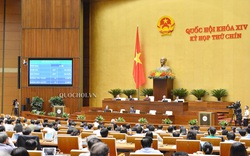 Quốc hội thông qua Nghị quyết phê chuẩn Hiệp định EVFTA và EVIPA