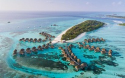 Lý do nào khiến Maldives tự tin mở cửa đón du khách toàn cầu?