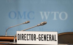 Nóng đường đua Mỹ-Trung tìm người đứng đầu WTO và sự kín tiếng bất ngờ từ Bắc Kinh