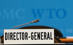 Con đường chọn lựa Tổng giám đốc WTO và khó khăn phía trước