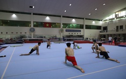 UNESCO mong muốn đưa VĐV quốc tế sang tập huấn tại Việt Nam: Nâng tầm lợi thế và uy tín của thể thao Việt Nam