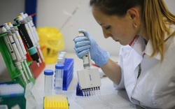 Giới chuyên gia nói gì về thành công đầu tiên của Nga trong cuộc truy tìm vaccine chống Covid-19?
