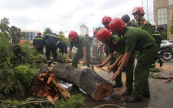 Thừa Thiên Huế: Huy động mọi lực lượng khắc phục hậu quả cơn bão số 5