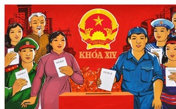 Không tổ chức bầu  đại biểu HĐND phường tại Hà Nội, Đà Nẵng, TP.HCM
