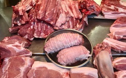 Thủ tướng yêu cầu triển khai các biện pháp nhằm bình ổn giá thịt lợn dịp cận Tết 