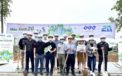 20.000 cây xanh được gieo trồng trong sinh nhật 20 năm của FLC