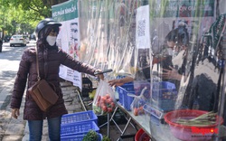 Hà Nội: Độc đáo những gian hàng đổi rác thải nhựa... lấy rau củ quả