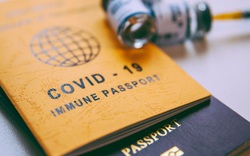 Áp dụng “hộ chiếu vắc xin” và tạo điều kiện cho chuyên gia nước ngoài nhập cảnh