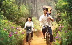 Tổ chức Tuần phim chào mừng Liên hoan Phim Việt Nam tại Hà Nội và Đà Nẵng