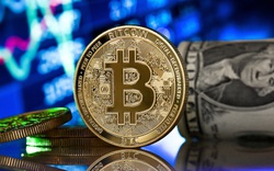 Giá Bitcoin mất 17,01% về mức 56.000 USD