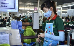 Đà Nẵng: Chính sách Bảo hiểm thất nghiệp được thực hiện theo phương châm “đúng chế độ, đúng đối tượng, đúng thời gian”