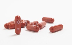 FDA Mỹ khuyến nghị sử dụng thuốc Molnupiravir trong điều trị COVID-19
