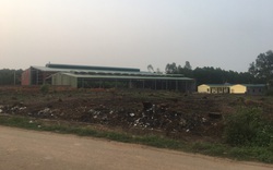 Tam Nông (Phú Thọ): Ngang nhiên xây dựng nhà xưởng không phép trên đất rừng
