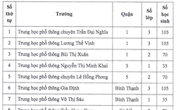 TP. Hồ Chí Minh tuyển 980 chỉ tiêu vào lớp 10 tích hợp