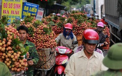 Bắc Giang đề nghị hỗ trợ lưu thông hàng hóa, tiêu thụ nông sản