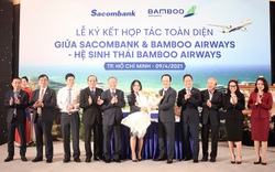 Chung tầm nhìn tiên phong chuyển đổi số, Bamboo Airways và Sacombank hợp tác toàn diện