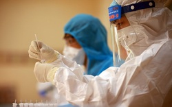 Việt Nam tiếp nhận điều trị khẩn cấp nhân viên Liên hợp quốc nhiễm Covid- 19