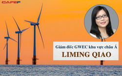 Giám đốc GWEC khu vực châu Á đề xuất cơ chế giá FIT mới cho điện gió để khôbóng đá tỷ lệ kèo nhà cái gặp khó như điện mặt trời