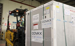 Bổ sung hơn 11 tỷ đồng đóng góp cho Cơ chế COVAX