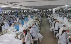 Quảng Bình linh hoạt trong tiếp nhận hồ sơ đề nghị hưởng trợ cấp thất nghiệp