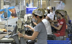 Thừa Thiên Huế: Bảo hiểm thất nghiệp hỗ trợ thiết thực cho người lao động trong bối cảnh dịch bệnh