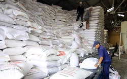 Xuất cấp gạo từ nguồn dự trữ quốc gia cho 24 tỉnh, thành phố hỗ trợ người dân gặp khó khăn do COVID-19