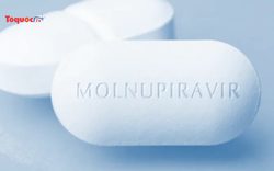Bắt đầu dùng thuốc Molnupiravir đối với F0 điều trị tại nhà