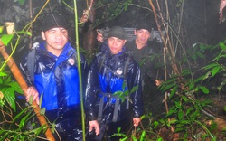 Thừa Thiên Huế: Tăng cường giám sát, ngăn chặn người đi vào rừng trong thời gian thiên tai