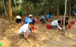 Nhà khảo cổ học người Ý yêu văn hóa Việt
