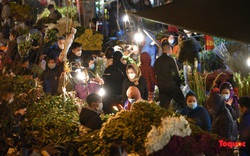 Chợ hoa đêm lớn nhất Hà Nội rộn ràng ngày cận Tết