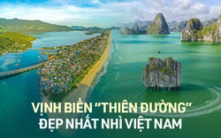 3 vịnh biển đẹp mê hồn tại Việt Nam nằm trong danh sách 