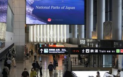 Nhật Bản mở cửa đón khách: Triển vọng phục hồi đối mặt hàng loạt khó khăn