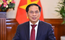 Bộ trưởng Ngoại giao: Lần thứ hai Việt Nam trúng cử HĐNQ LHQ là kết tinh nỗ lực của toàn Đảng, toàn dân