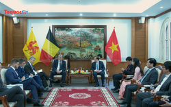 Tăng cường hợp tác thể thao giữa Việt Nam và cộng đồng Pháp ngữ của Bỉ