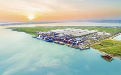 Cảng Chu Lai phát triển mạnh dịch vụ xuất nhập khẩu hàng rời 