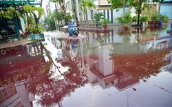 Sau cơn mưa, khu dân cư ở TP.HCM bị ngập nước có màu đỏ bất thường 