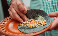 Món ăn độc đáo bậc nhất ở Mexico, không nơi nào có được, người dũng cảm mới dám thử