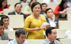 Đại biểu Quốc hội: Cần phát triển văn hóa đồng bộ, hài hòa với tăng trưởng kinh tế và tiến bộ xã hội