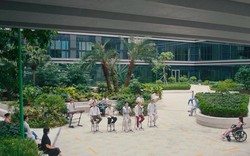 Khám phá Hospital Playlist phiên bản Việt trong MV của Da LAB