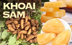 Đặc sản của Lào Cai giá chỉ 20 nghìn/kg, nhìn tưởng khoai lang nhưng thơm mùi nhân sâm