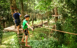 Cùng trẻ khám phá rừng nguyên sinh tại Phong Nha - Kẻ Bàng