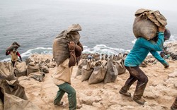 Khủng hoảng phân bón: Peru tìm đến giải pháp thay thế từ thiên nhiên, nhưng liệu có đủ?